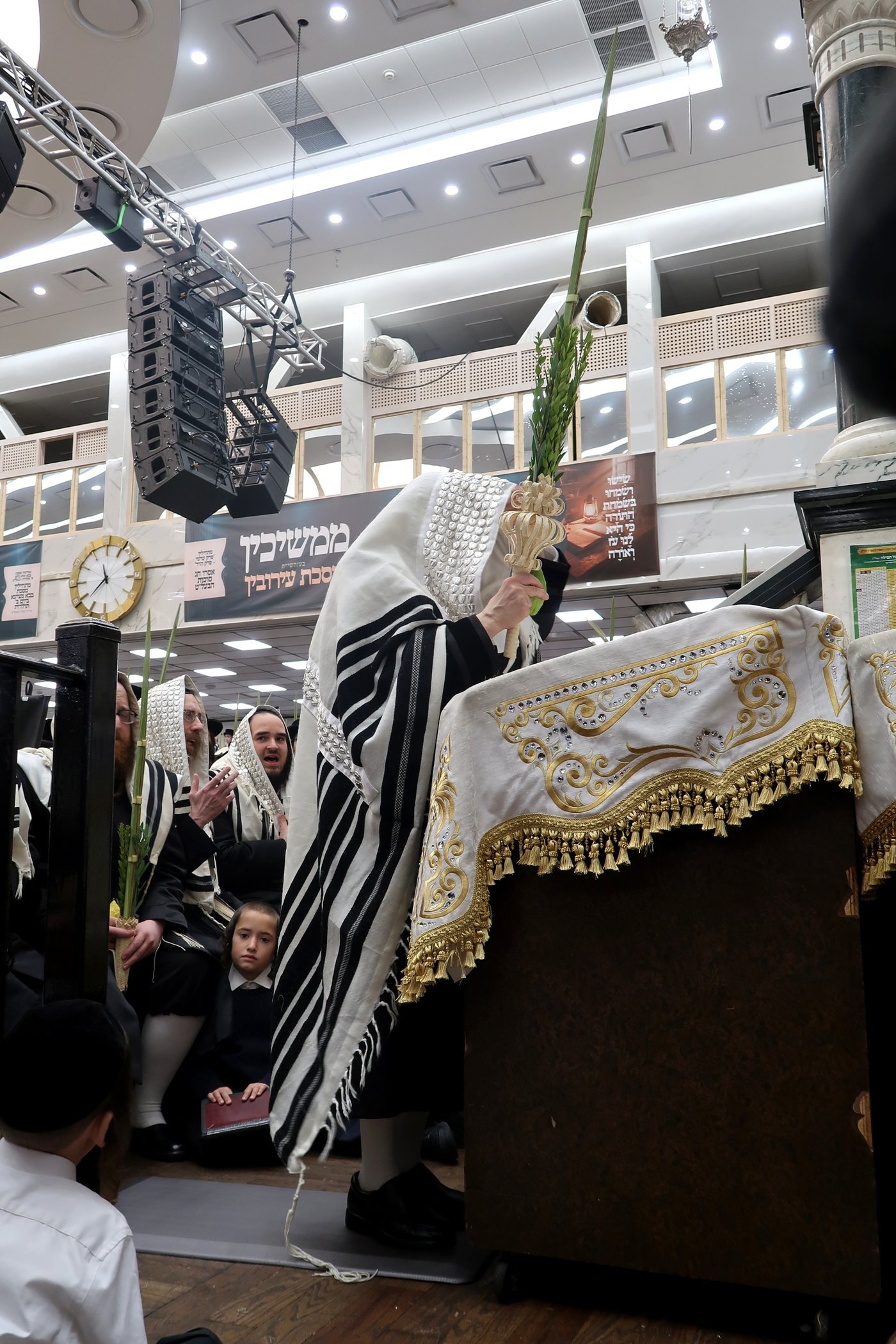 האדמו"ר מסאטמר שליט"א בעבודת הנענועים | צילום: בחצרות סאטמאר