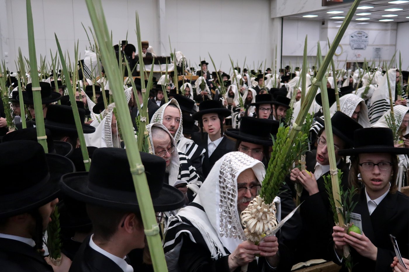 האדמו"ר מסאטמר שליט"א בעבודת הנענועים | צילום: בחצרות סאטמאר