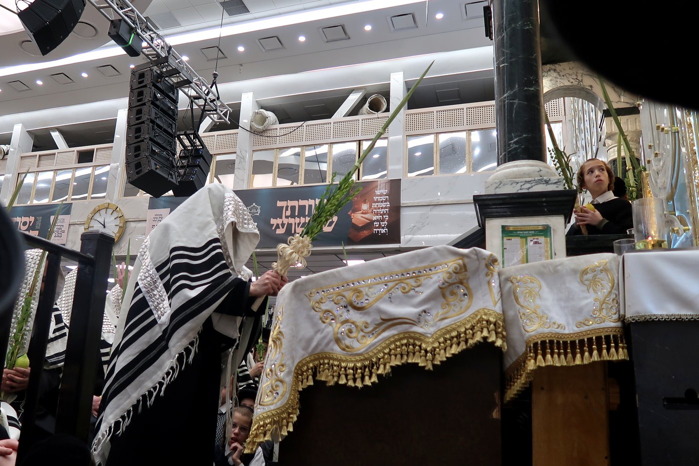 האדמו"ר מסאטמר שליט"א בעבודת הנענועים | צילום: בחצרות סאטמאר