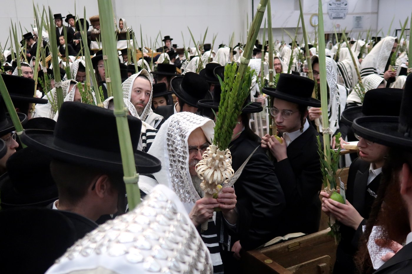 האדמו"ר מסאטמר שליט"א בעבודת הנענועים | צילום: בחצרות סאטמאר