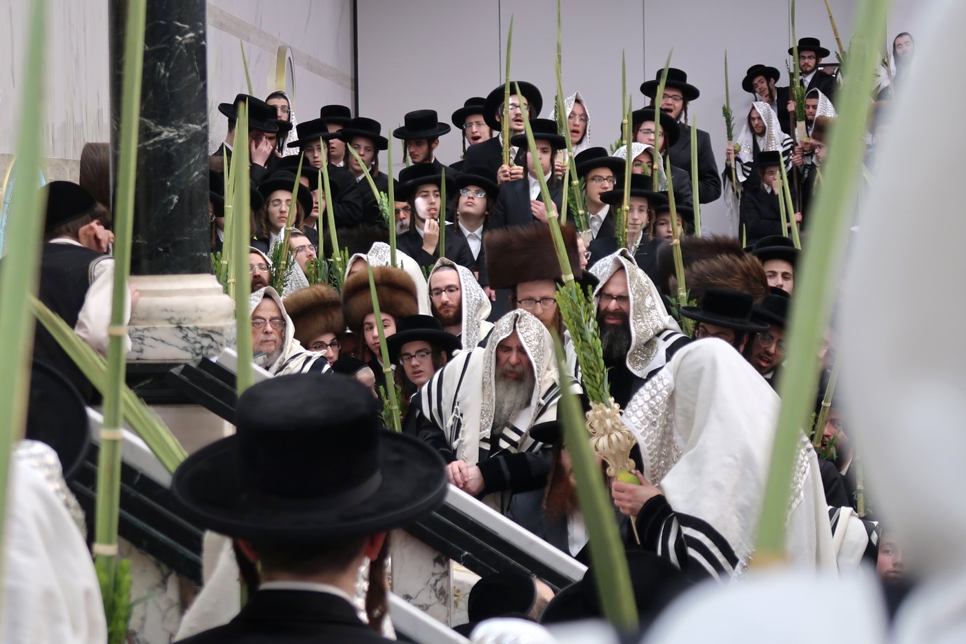 האדמו"ר מסאטמר שליט"א בעבודת הנענועים | צילום: בחצרות סאטמאר