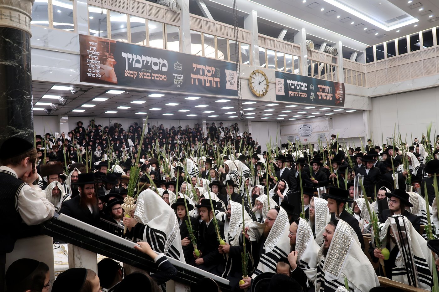 האדמו"ר מסאטמר שליט"א בעבודת הנענועים | צילום: בחצרות סאטמאר
