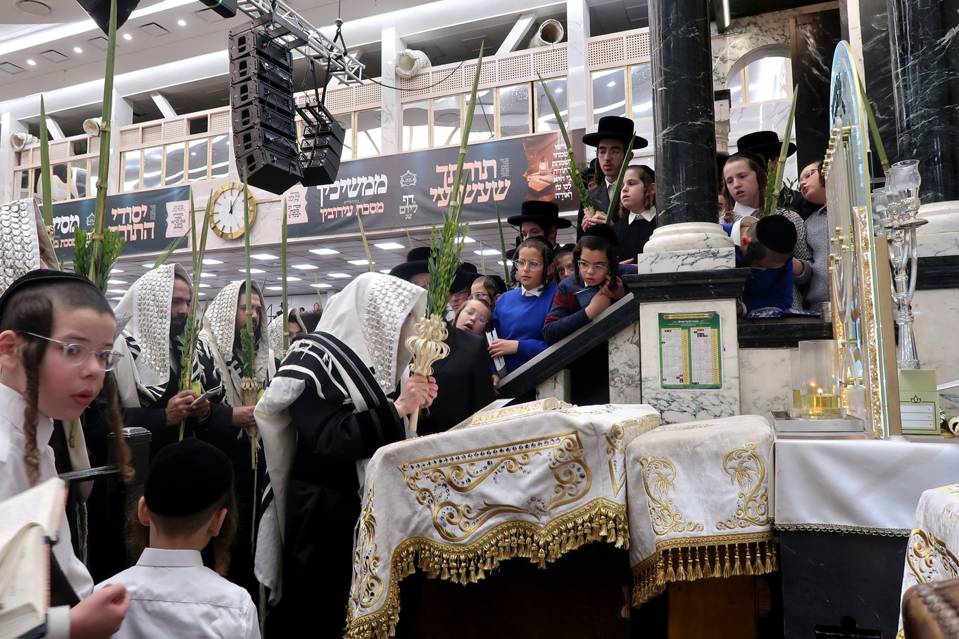 האדמו"ר מסאטמר שליט"א בעבודת הנענועים | צילום: בחצרות סאטמאר
