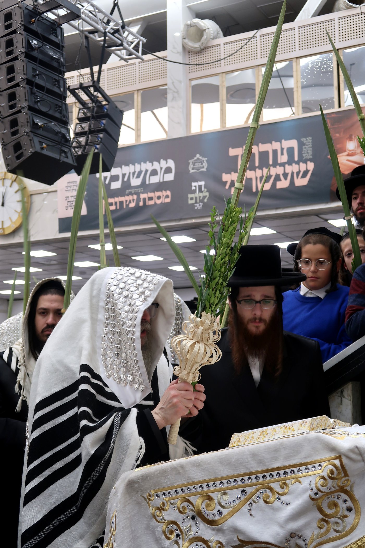 האדמו"ר מסאטמר שליט"א בעבודת הנענועים | צילום: בחצרות סאטמאר