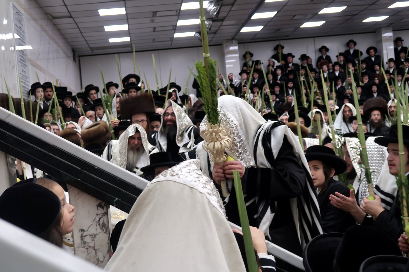 האדמו"ר מסאטמר שליט"א בעבודת הנענועים | צילום: בחצרות סאטמאר