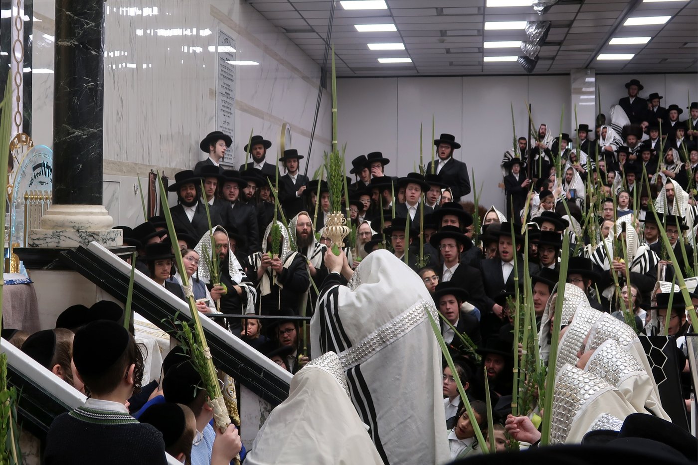 האדמו"ר מסאטמר שליט"א בעבודת הנענועים | צילום: בחצרות סאטמאר