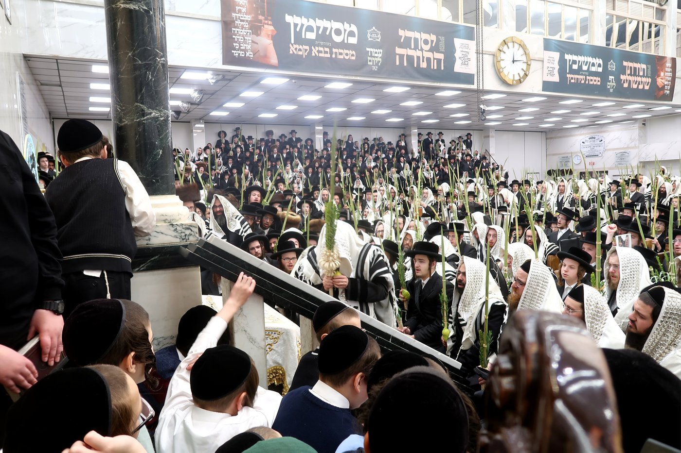 האדמו"ר מסאטמר שליט"א בעבודת הנענועים | צילום: בחצרות סאטמאר
