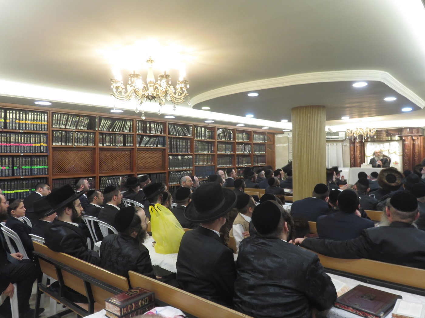 הגה"צ רבי אלימלך בידרמן שליט"א בשיחה בראנזאו | צילום: א.כ.