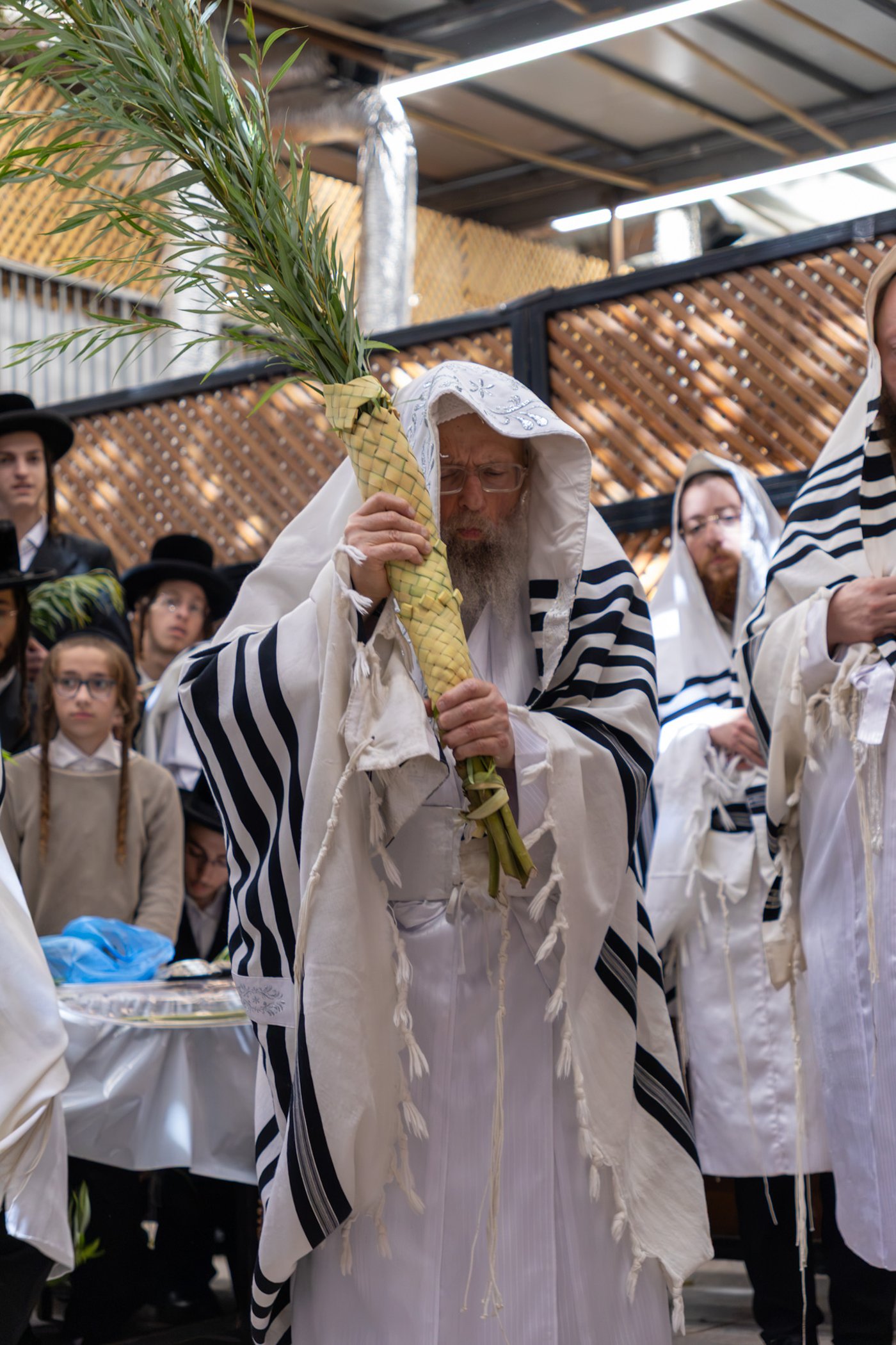 חג הסוכות בחצר הקודש פינסק קרלין
