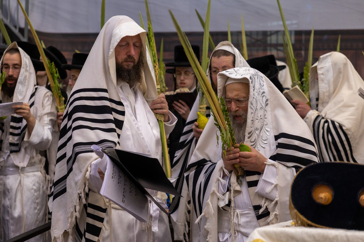 חג הסוכות בחצר הקודש פינסק קרלין