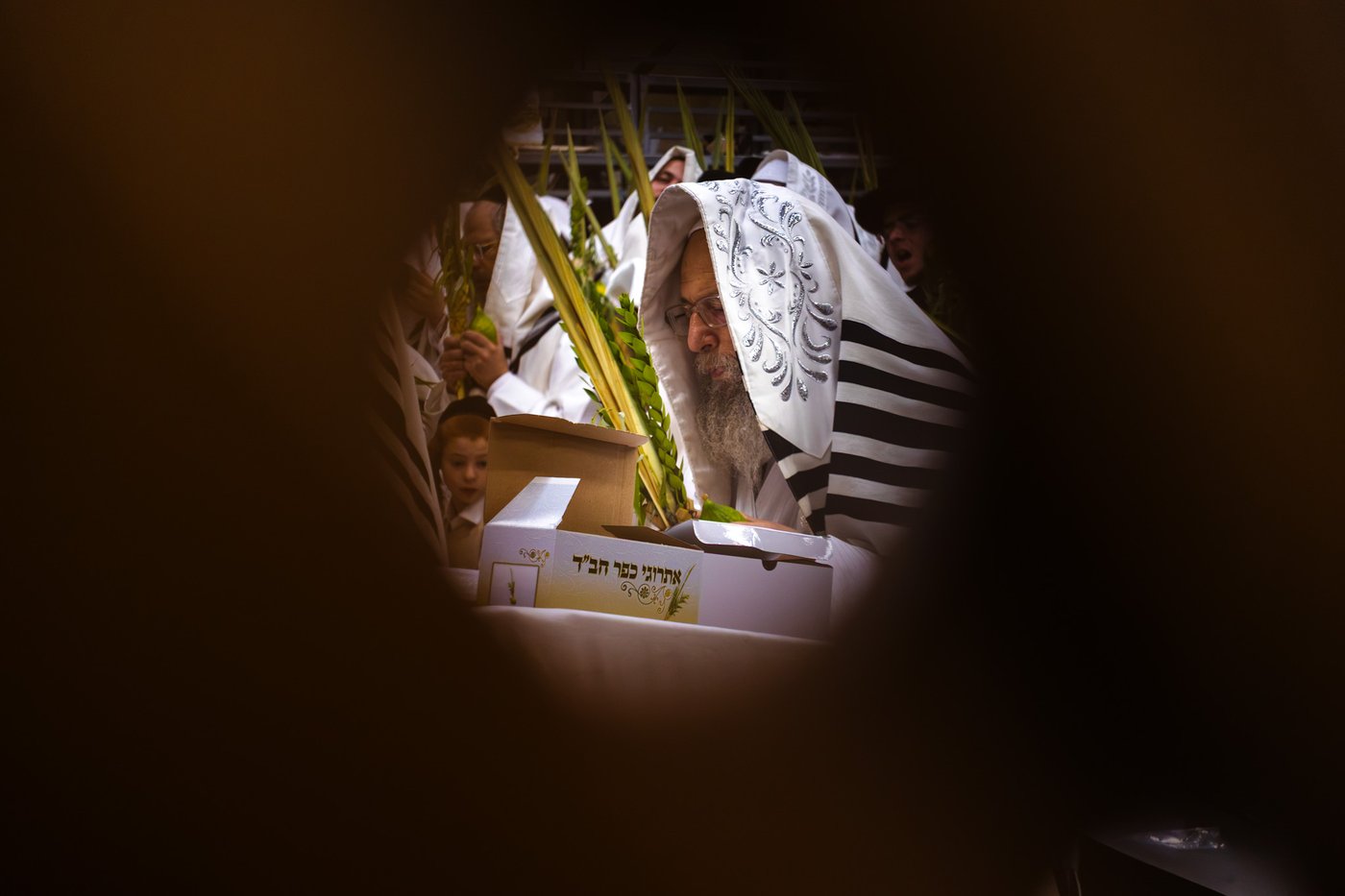 חג הסוכות בחצר הקודש פינסק קרלין