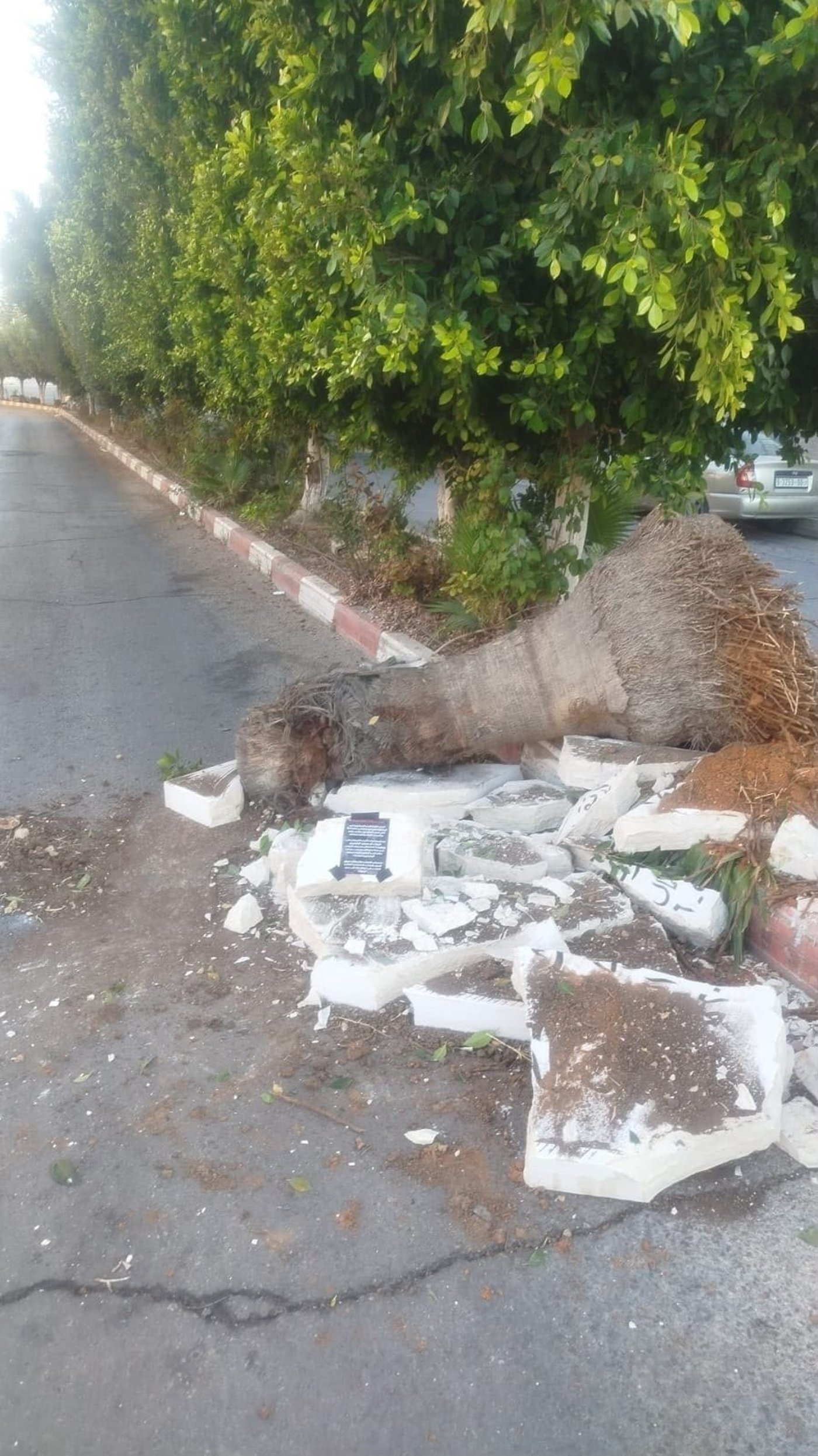 אנדרטה לזכר הרוצח יאסר אל-חמדוני ז"ל שהורשע במעורבות ברצח האזרח הישראלי אבנר מימון ז"ל בשנת 2003, בעיירה יעבד, בדרום-מערב ג'נין, שצה"ל הרס