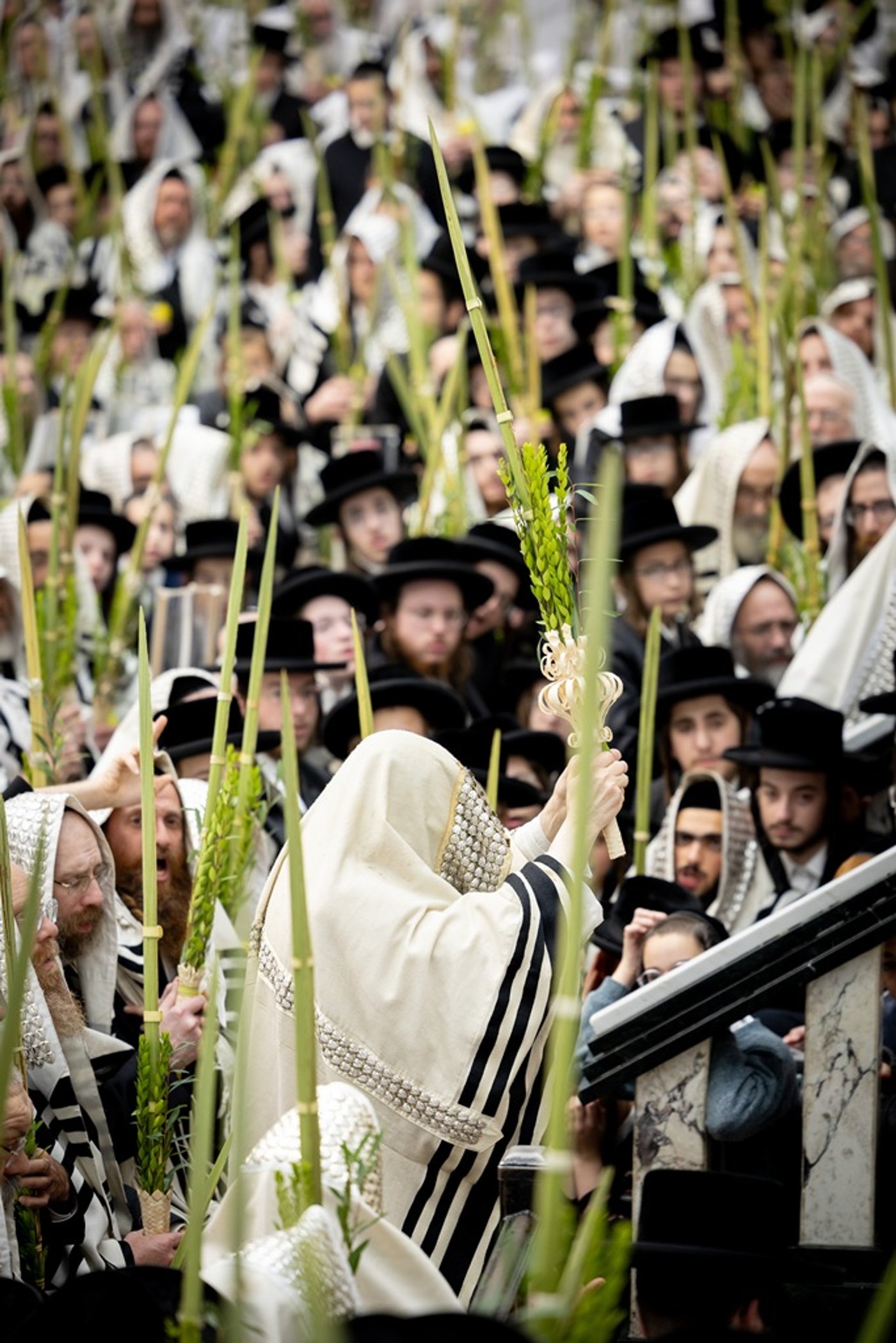 הושענא רבה בחצה"ק סאטמר