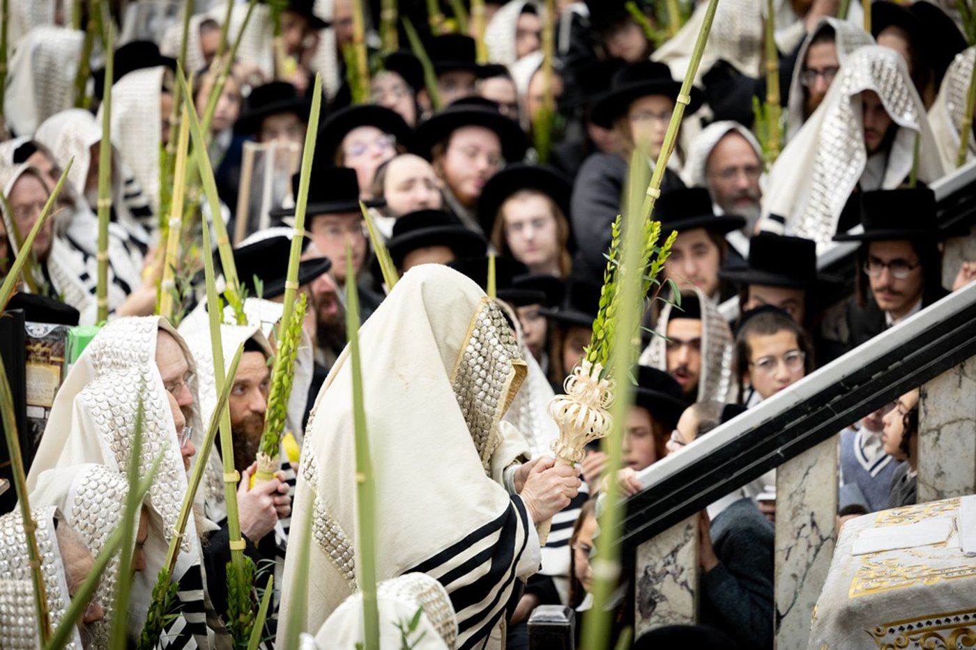 הושענא רבה בחצה"ק סאטמר