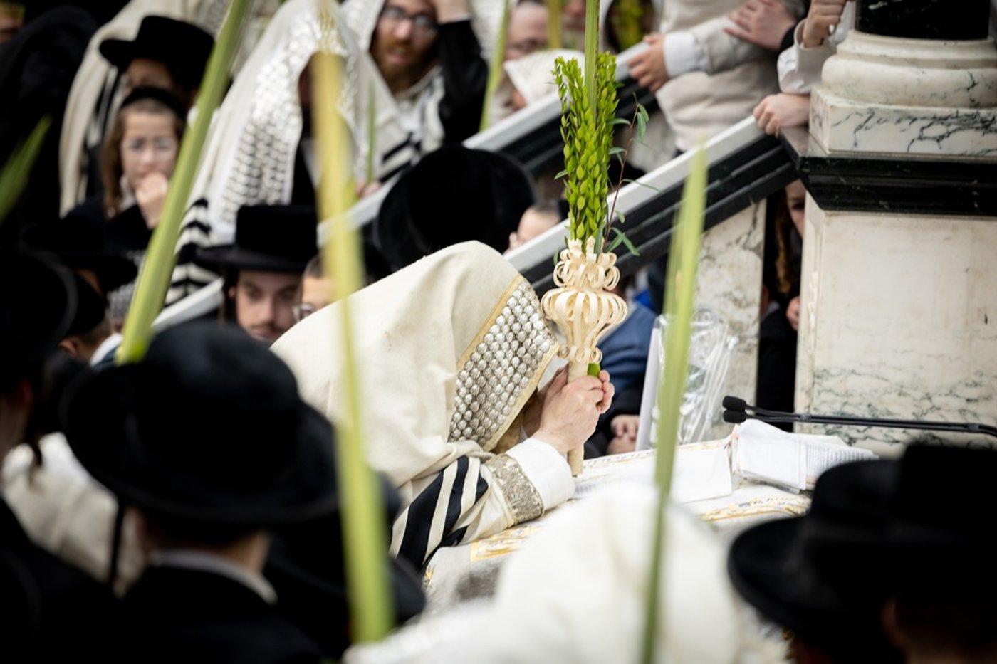 הושענא רבה בחצה"ק סאטמר