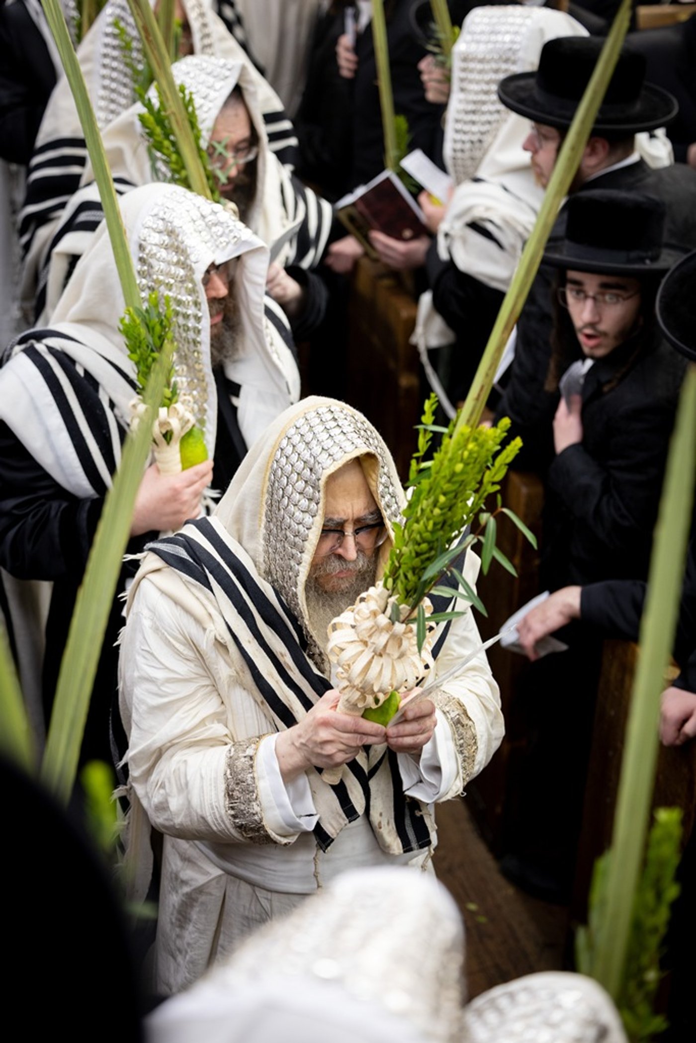 הושענא רבה בחצה"ק סאטמר