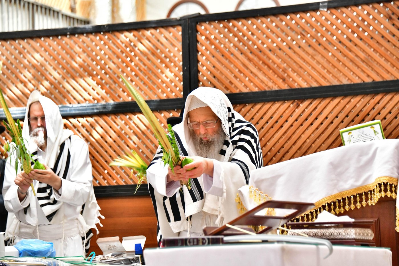 הושענא רבה בחצר הקודש פינסק קרלין