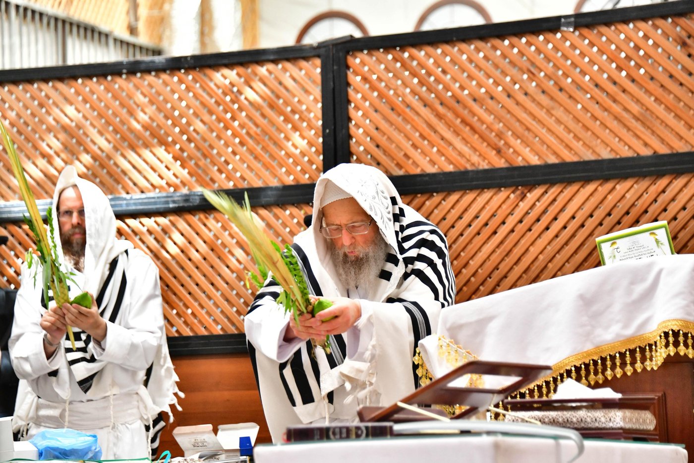 הושענא רבה בחצר הקודש פינסק קרלין
