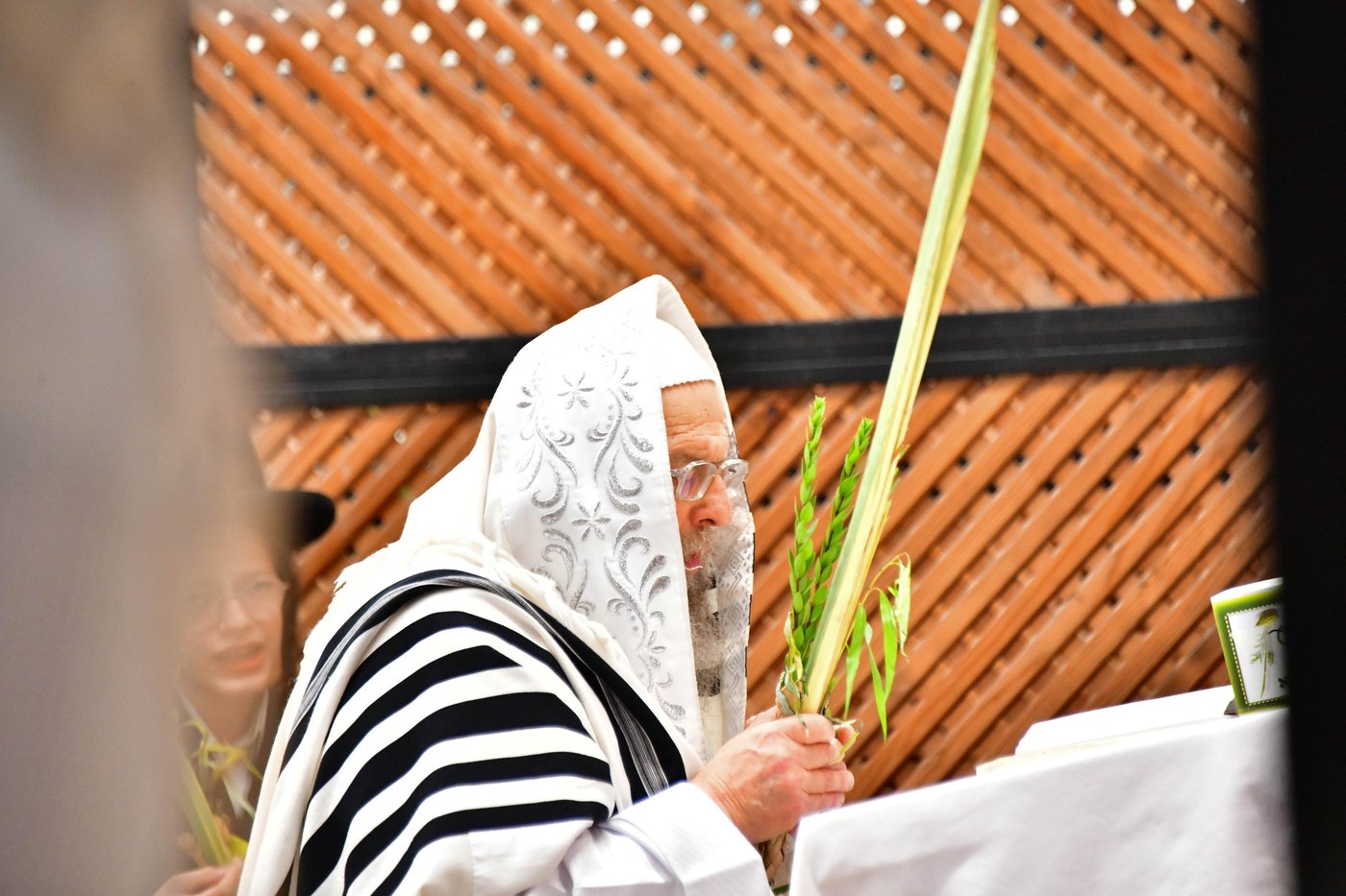 הושענא רבה בחצר הקודש פינסק קרלין