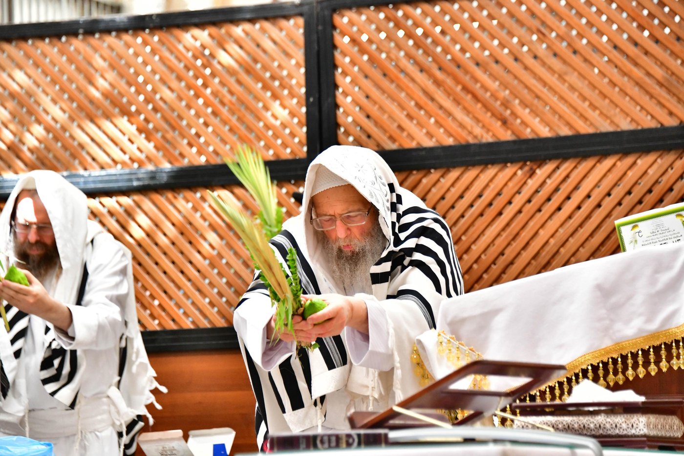 הושענא רבה בחצר הקודש פינסק קרלין