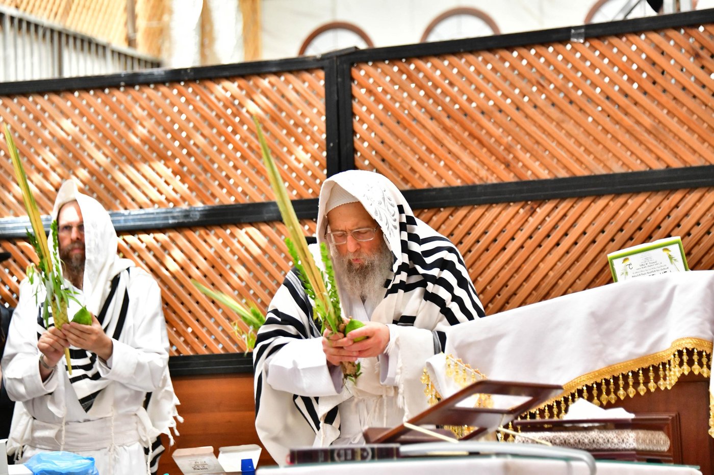 הושענא רבה בחצר הקודש פינסק קרלין
