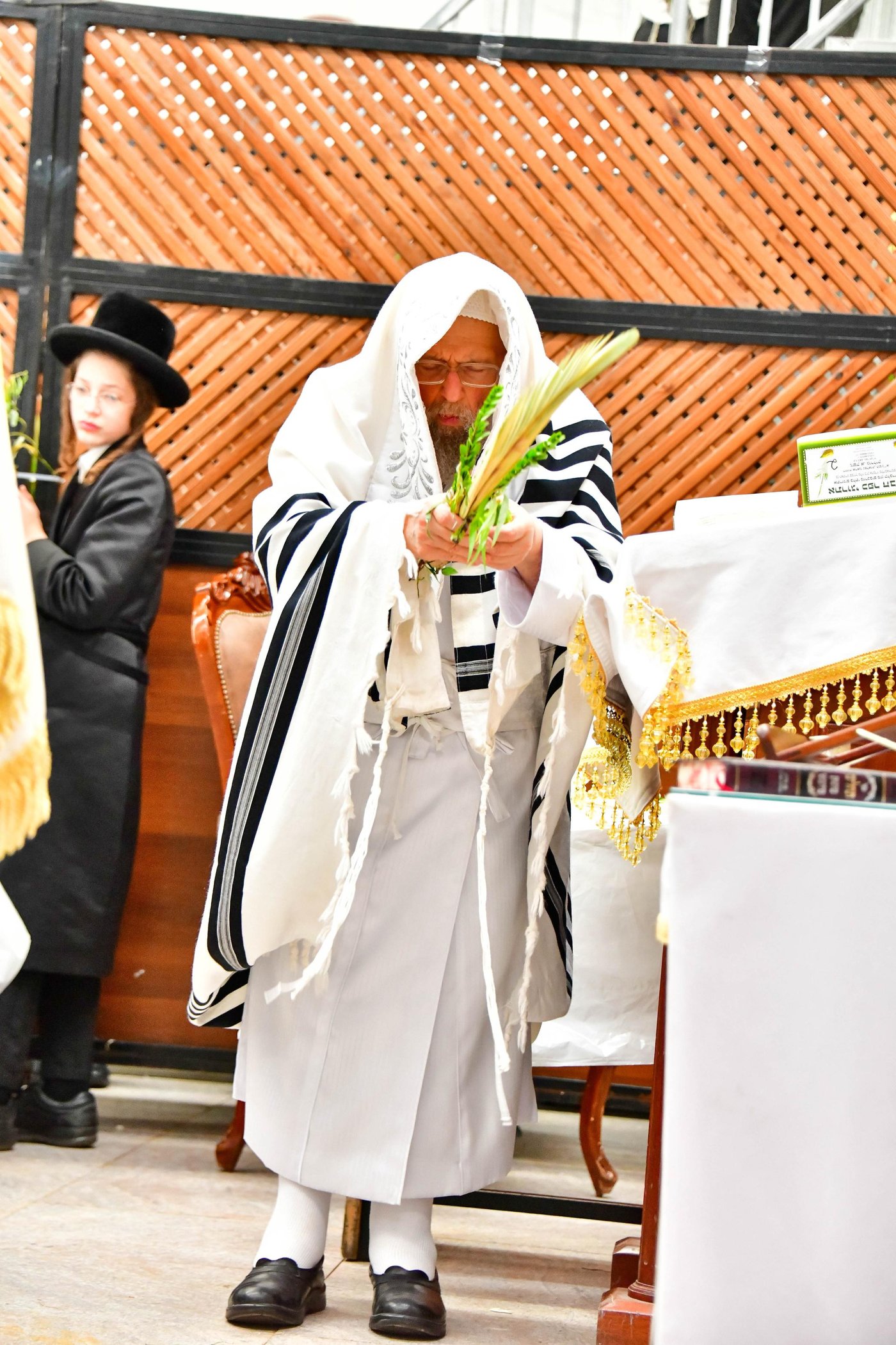 הושענא רבה בחצר הקודש פינסק קרלין