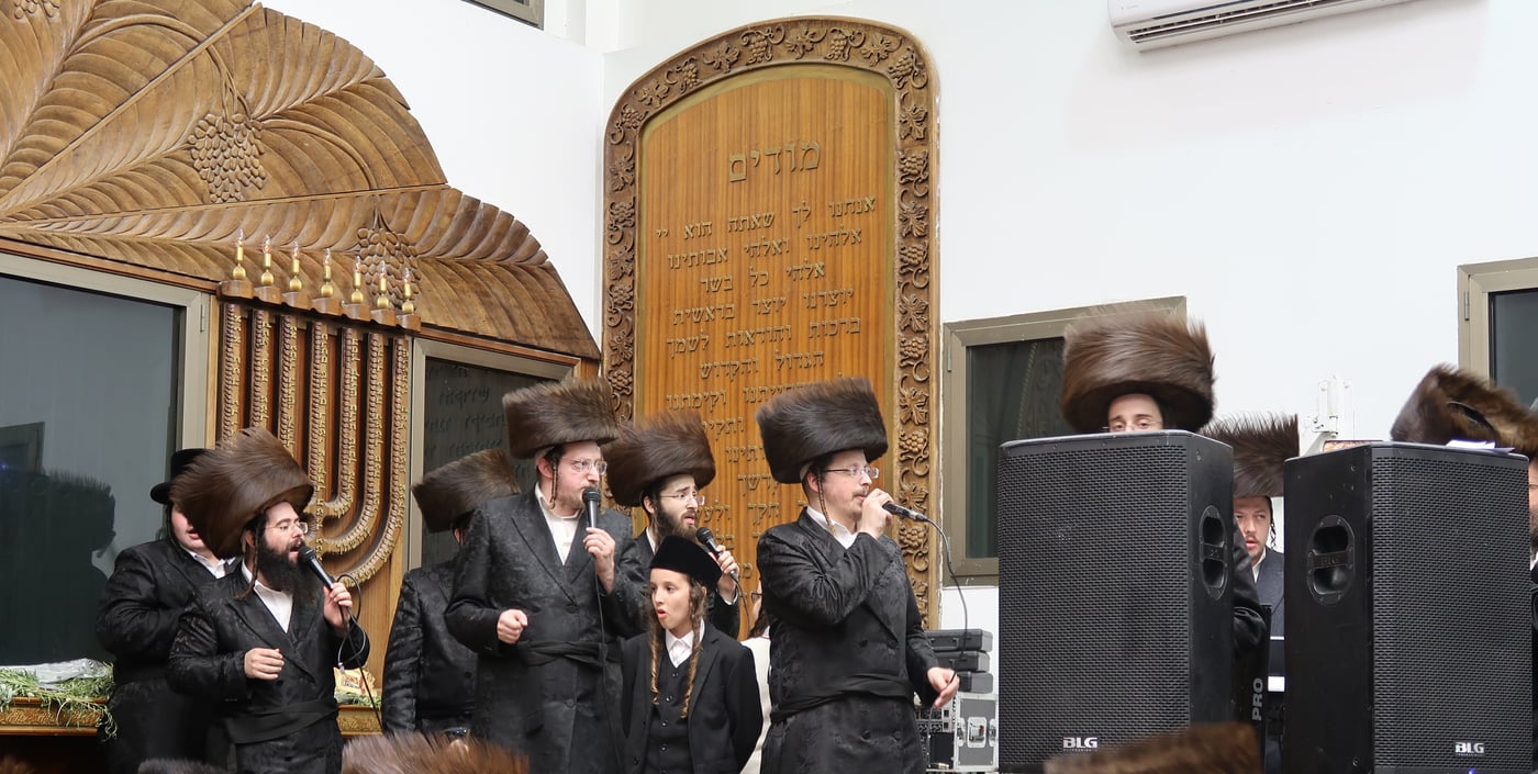 הקפות שניות בפרמישלאן | צילום: י. פריד