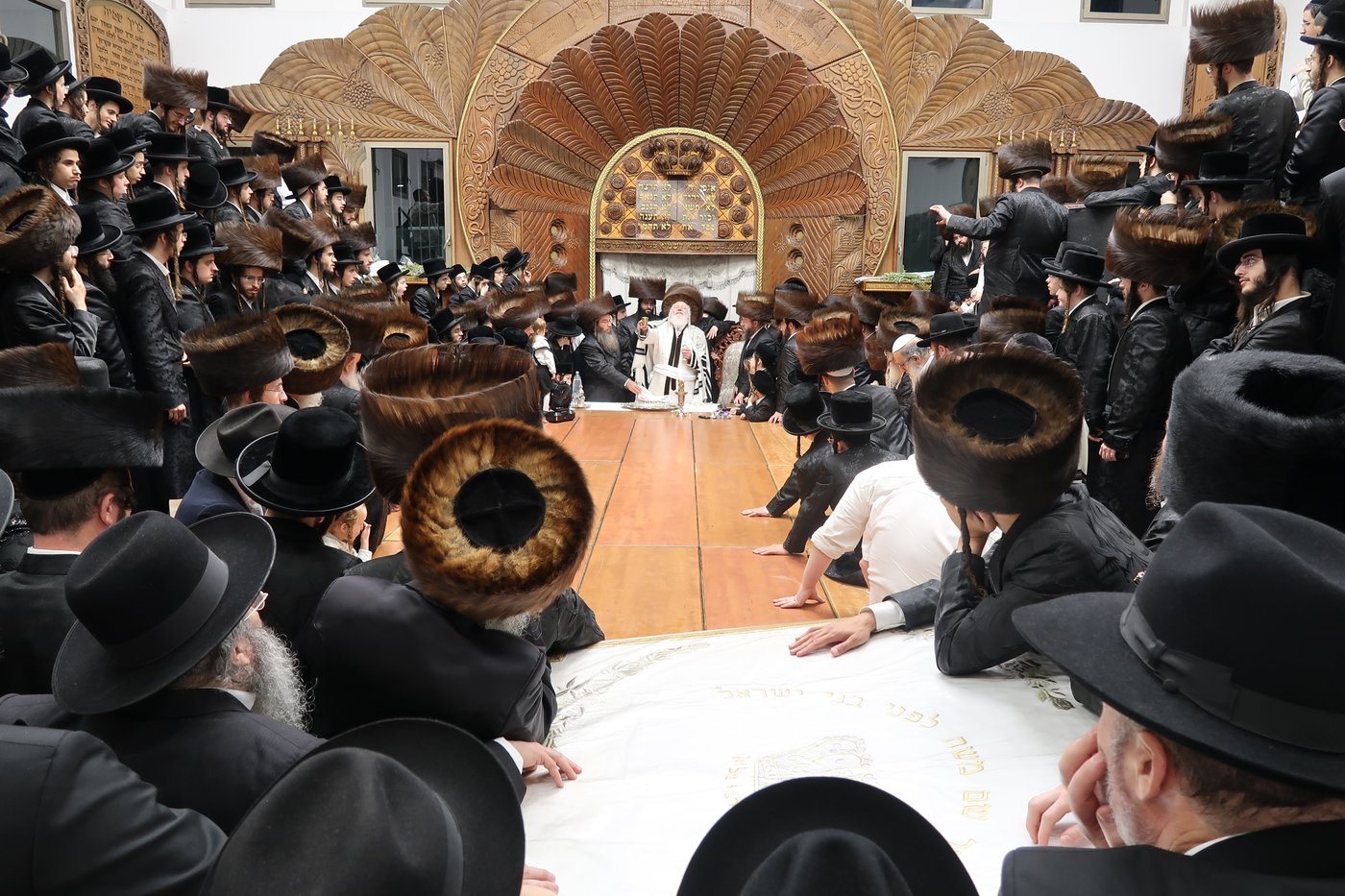 הקפות שניות בפרמישלאן | צילום: י. פריד