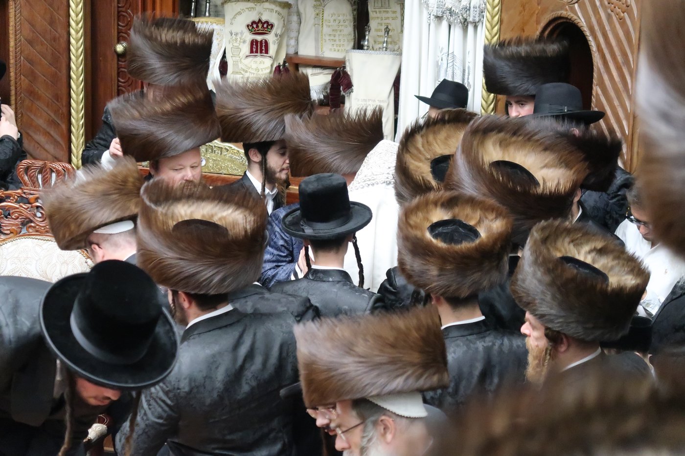 הקפות שניות בפרמישלאן | צילום: י. פריד