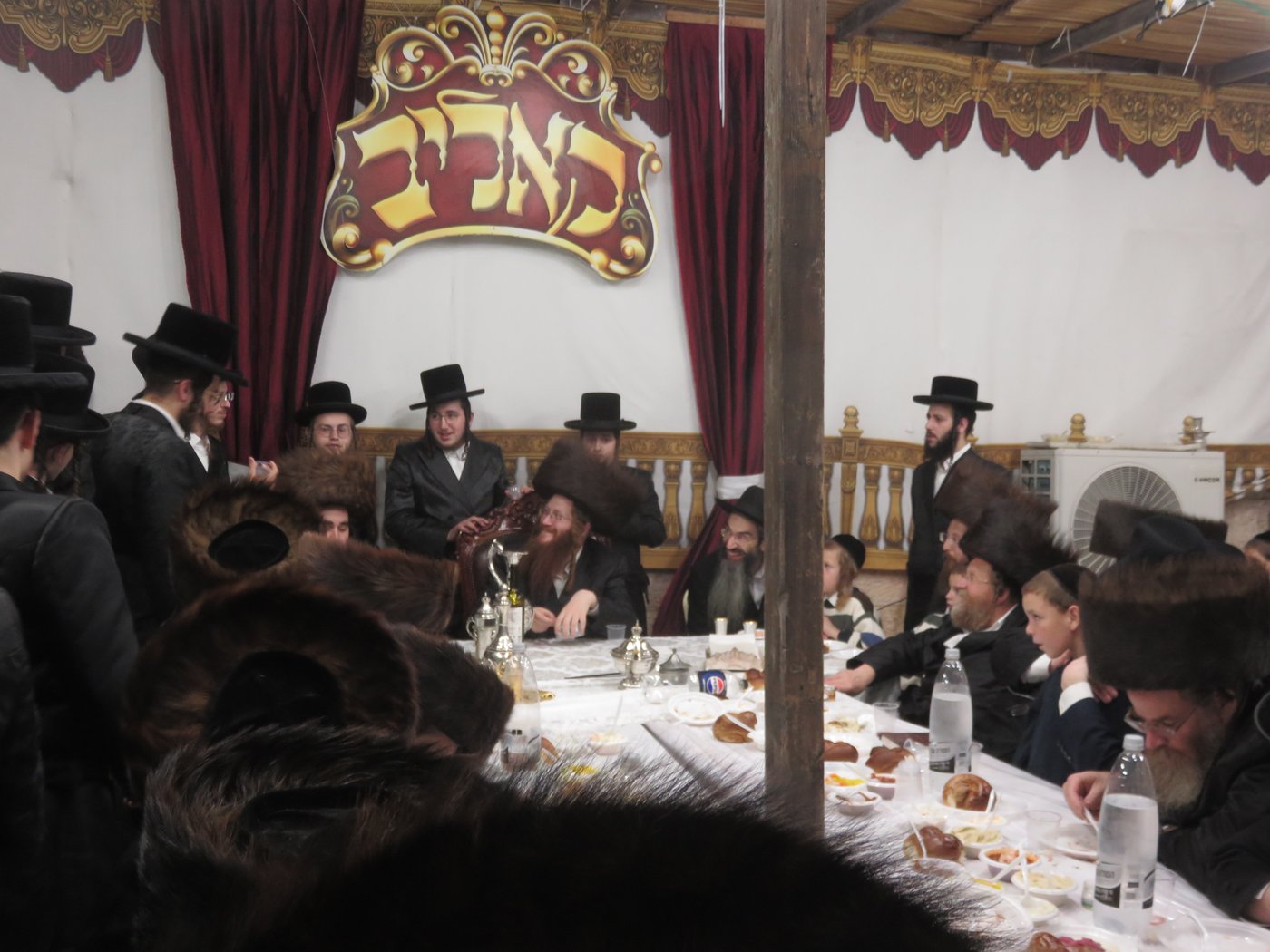 שמחת בית השואבה בחצר קאליב | צילום: א.כ.