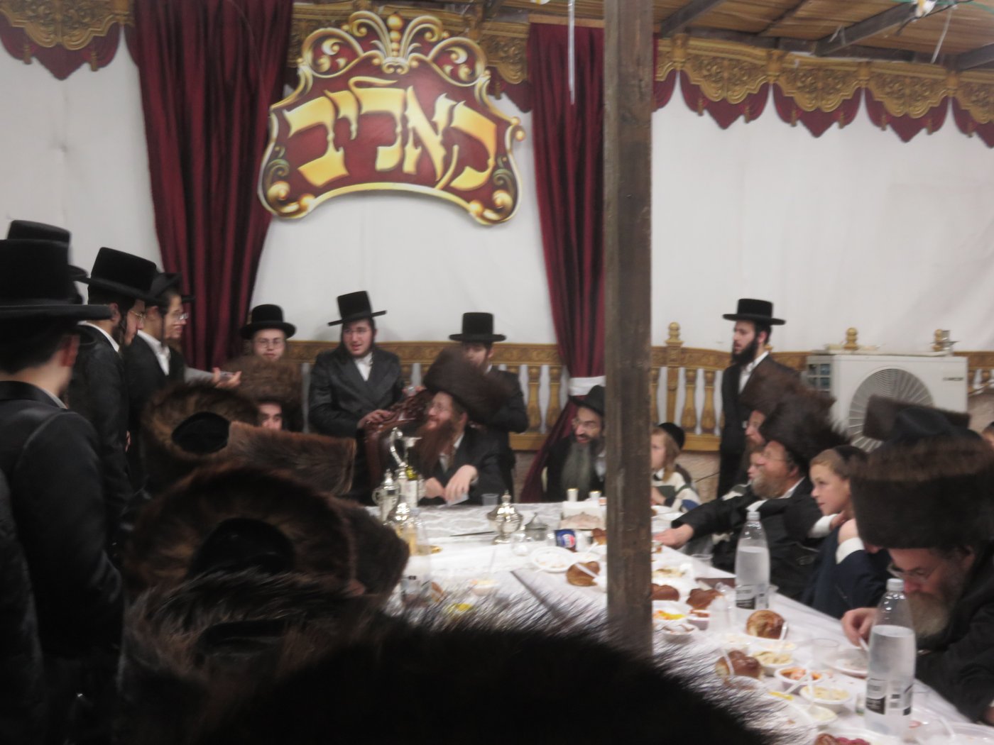 שמחת בית השואבה בחצר קאליב | צילום: א.כ.