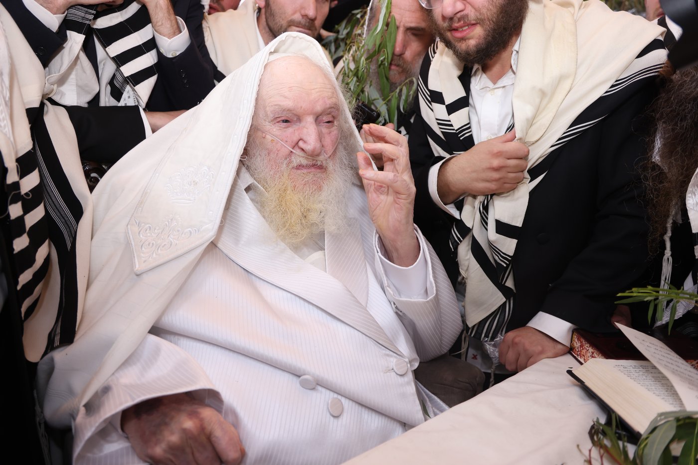 הושענא רבה אצל הגאון רבי משה שטרנבוך שליט"א | צילום: שמואל דריי
