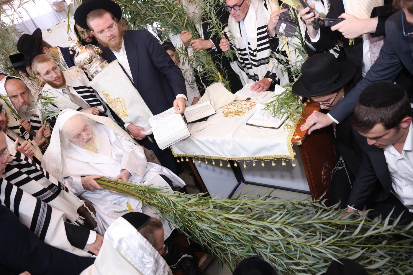 הושענא רבה אצל הגאון רבי משה שטרנבוך שליט"א | צילום: שמואל דריי