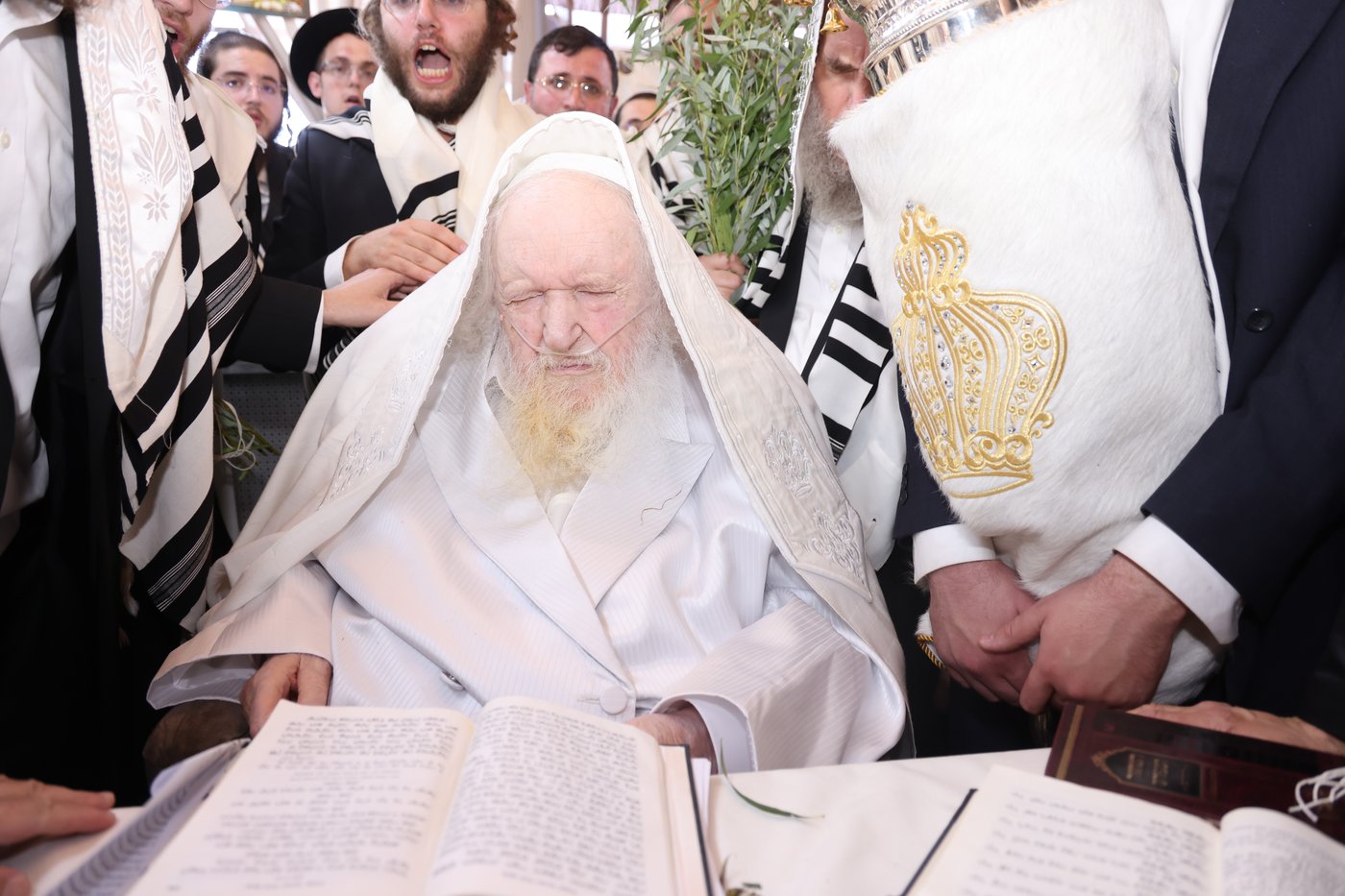 הושענא רבה אצל הגאון רבי משה שטרנבוך שליט"א | צילום: שמואל דריי