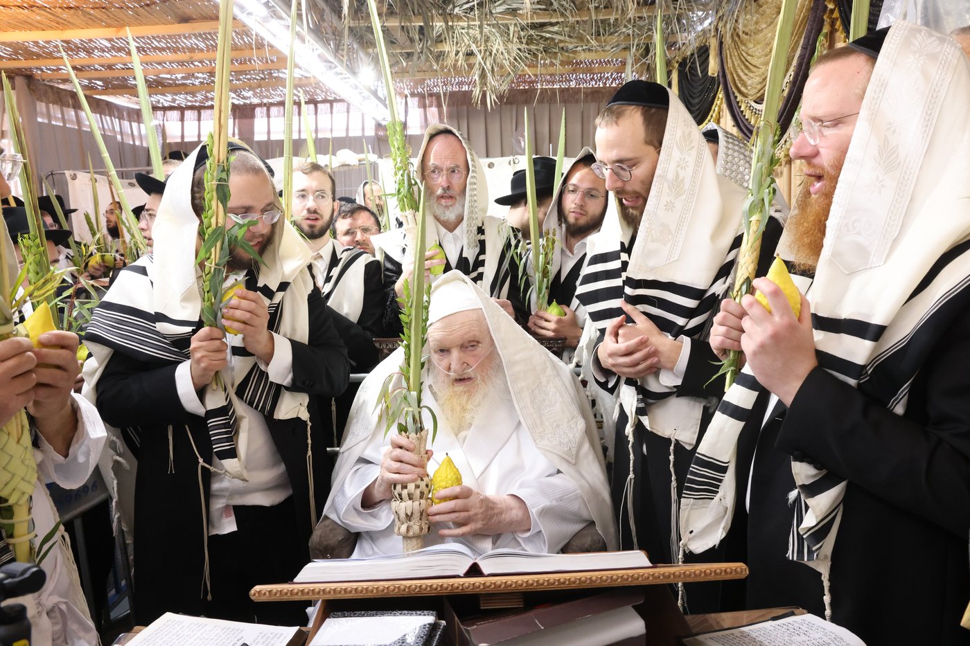 הושענא רבה אצל הגאון רבי משה שטרנבוך שליט"א | צילום: שמואל דריי