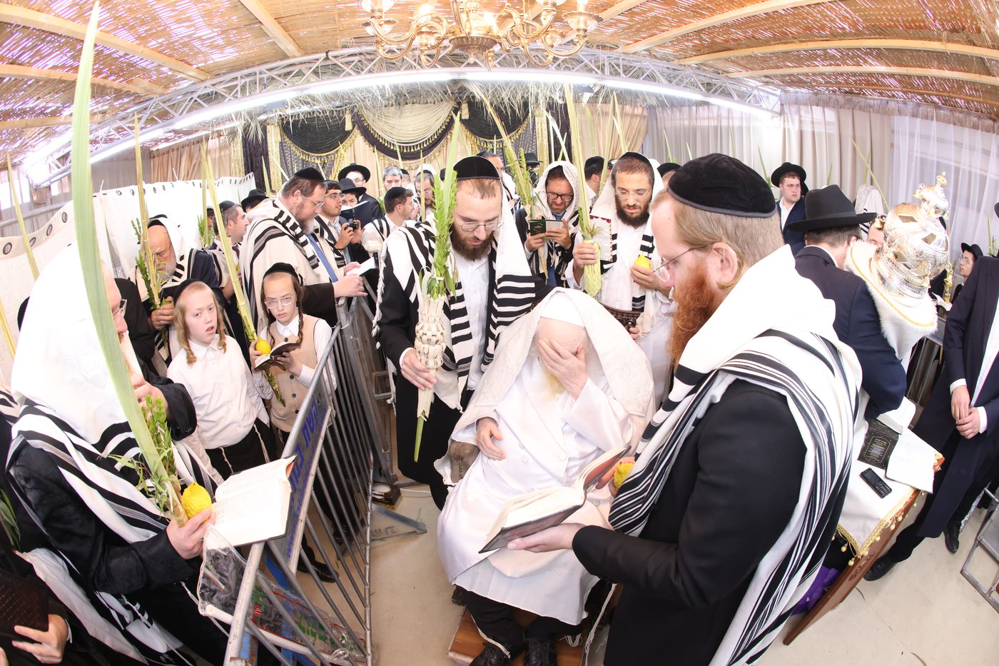 הושענא רבה אצל הגאון רבי משה שטרנבוך שליט"א | צילום: שמואל דריי