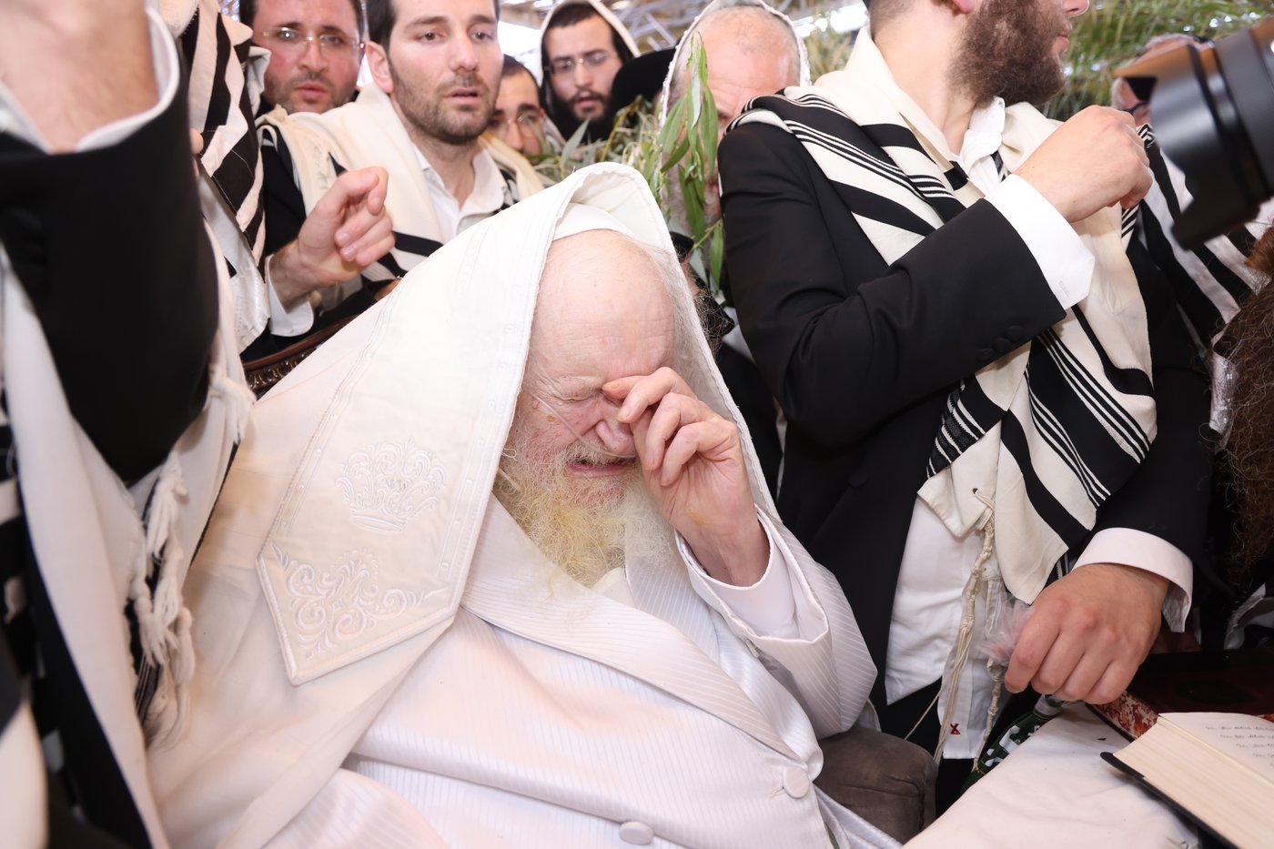 הושענא רבה אצל הגאון רבי משה שטרנבוך שליט"א | צילום: שמואל דריי