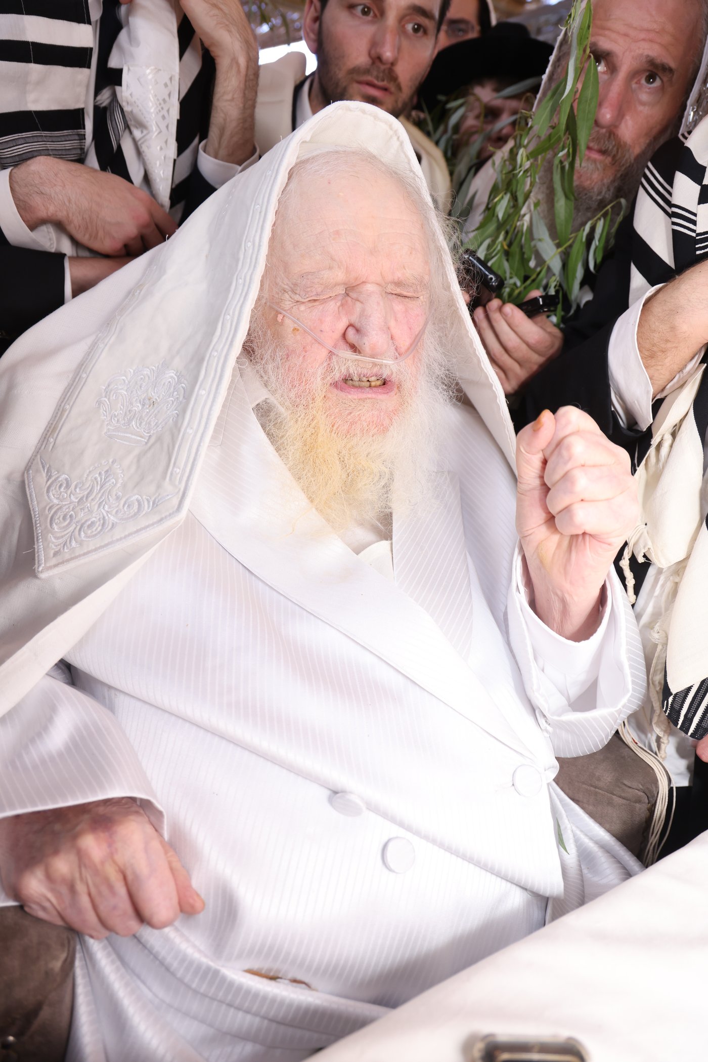 הושענא רבה אצל הגאון רבי משה שטרנבוך שליט"א | צילום: שמואל דריי