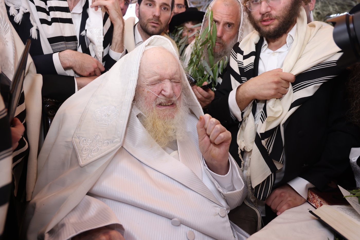 הושענא רבה אצל הגאון רבי משה שטרנבוך שליט"א | צילום: שמואל דריי