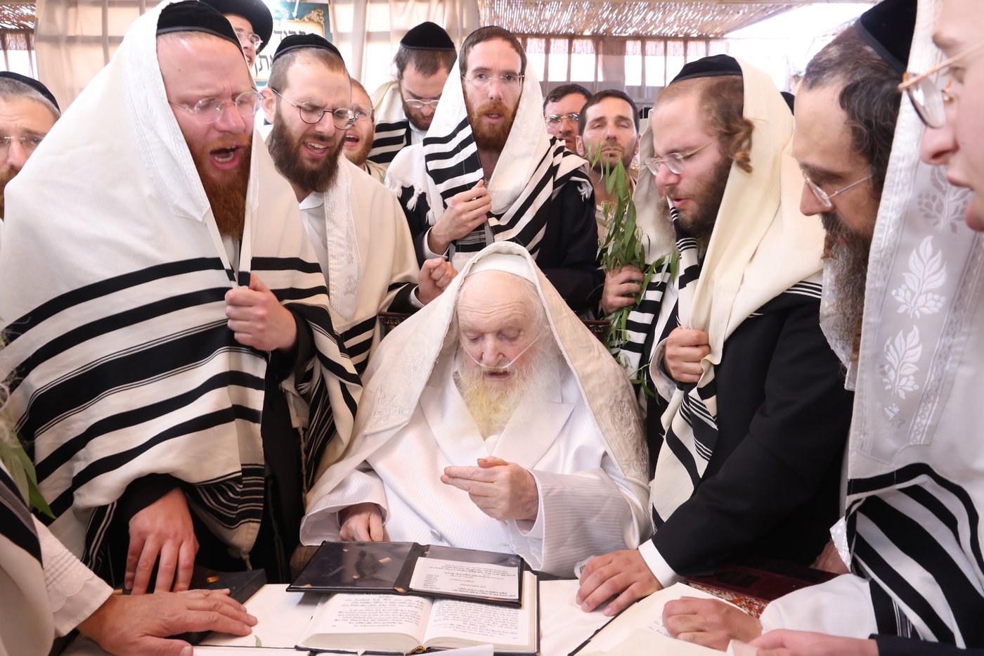 הושענא רבה אצל הגאון רבי משה שטרנבוך שליט"א | צילום: שמואל דריי