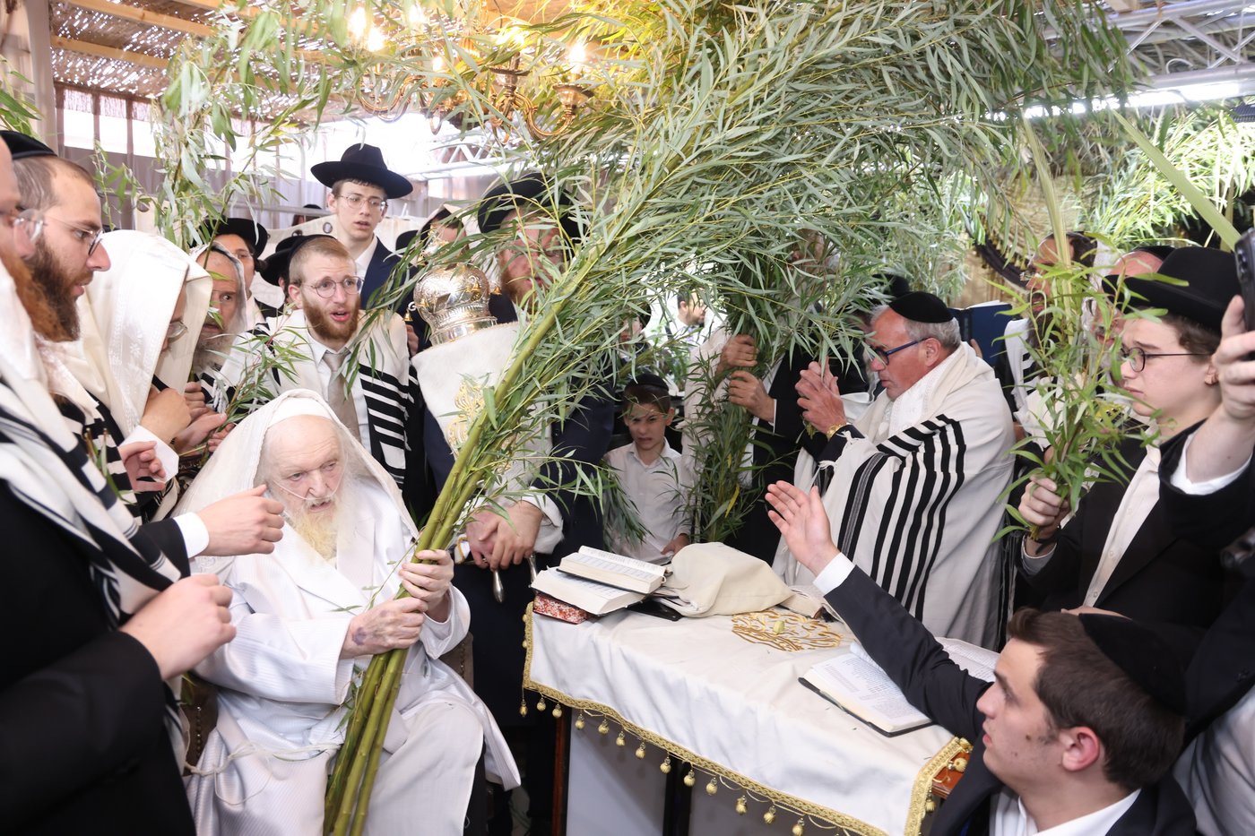 הושענא רבה אצל הגאון רבי משה שטרנבוך שליט"א | צילום: שמואל דריי