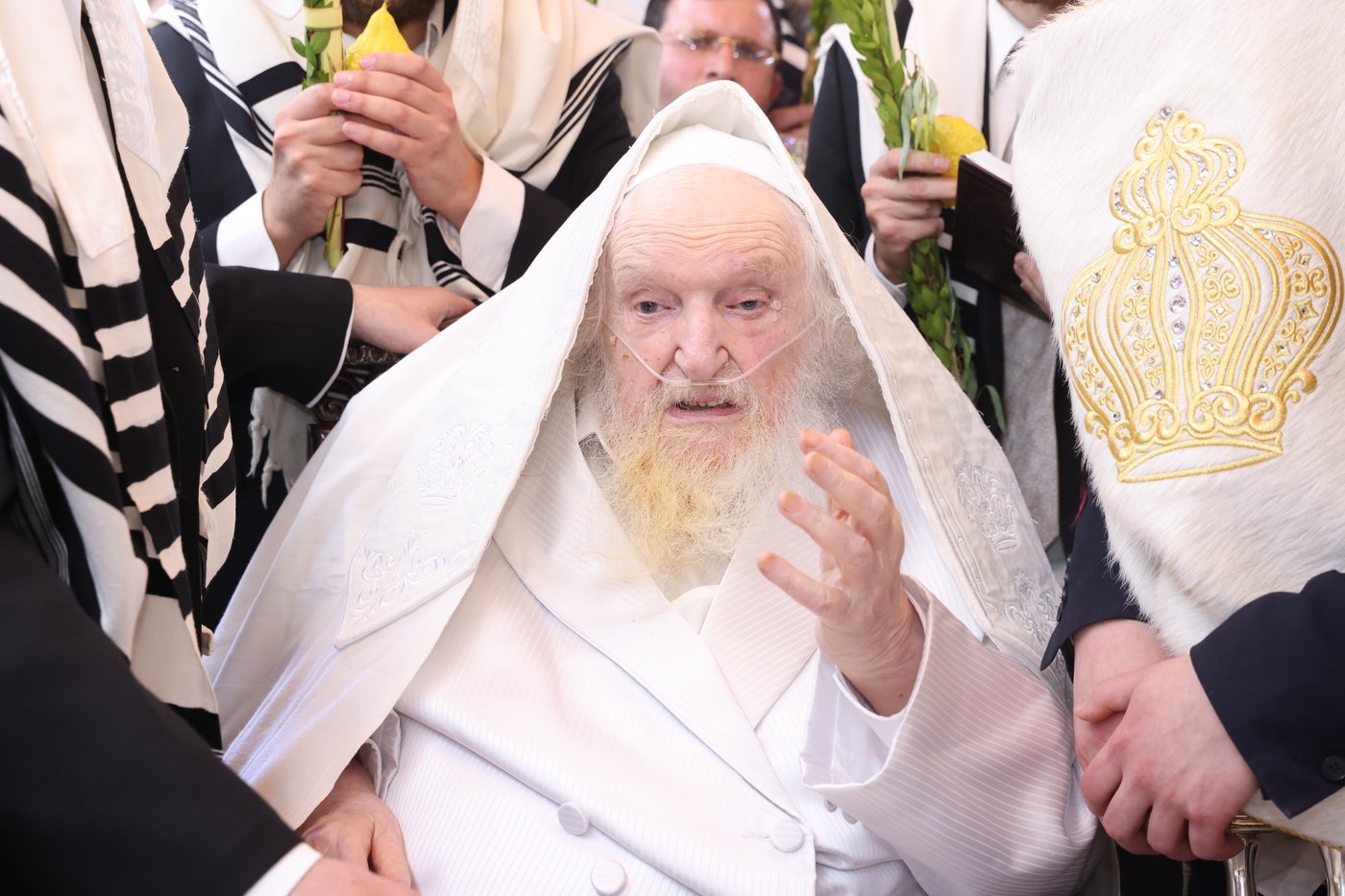 הושענא רבה אצל הגאון רבי משה שטרנבוך שליט"א | צילום: שמואל דריי
