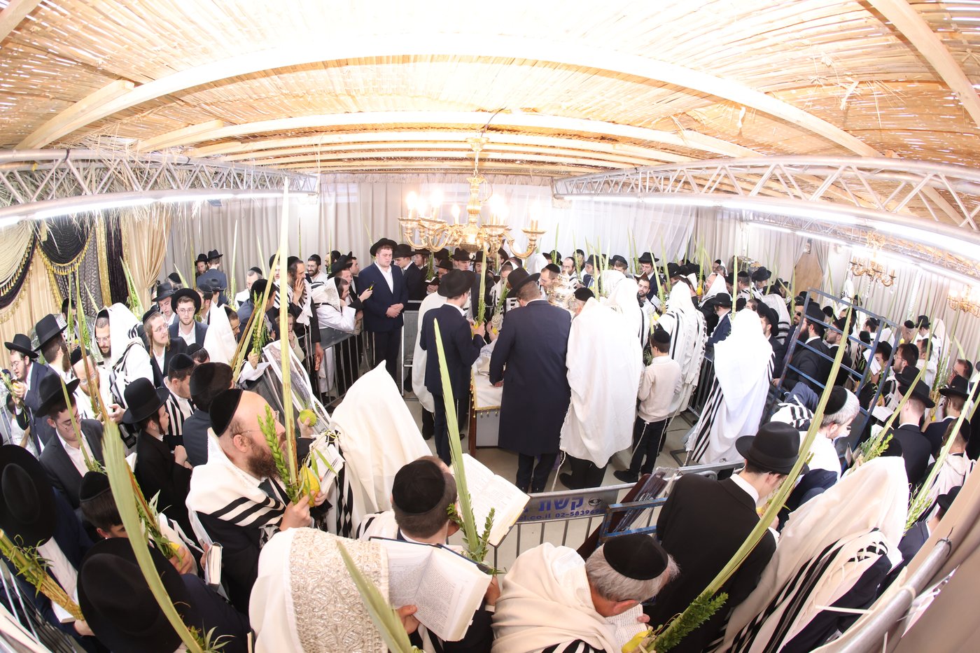 הושענא רבה אצל הגאון רבי משה שטרנבוך שליט"א | צילום: שמואל דריי