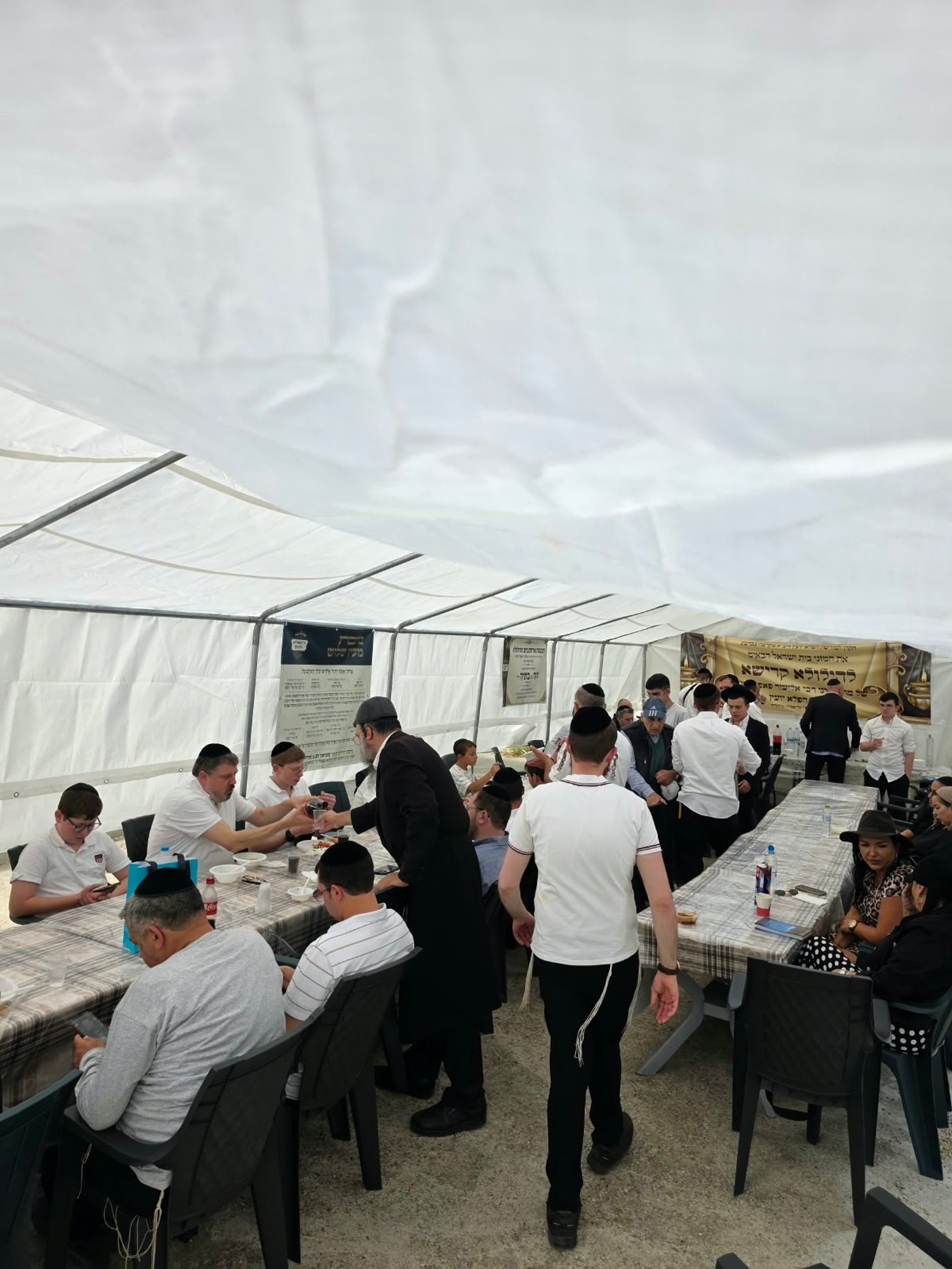 הילולת בעל 'פלא יועץ' זיע"א