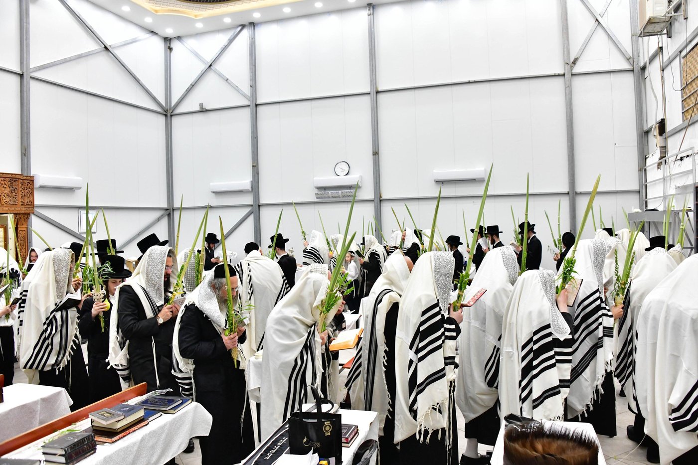 האדמו"ר מזוטשקא בהושענות