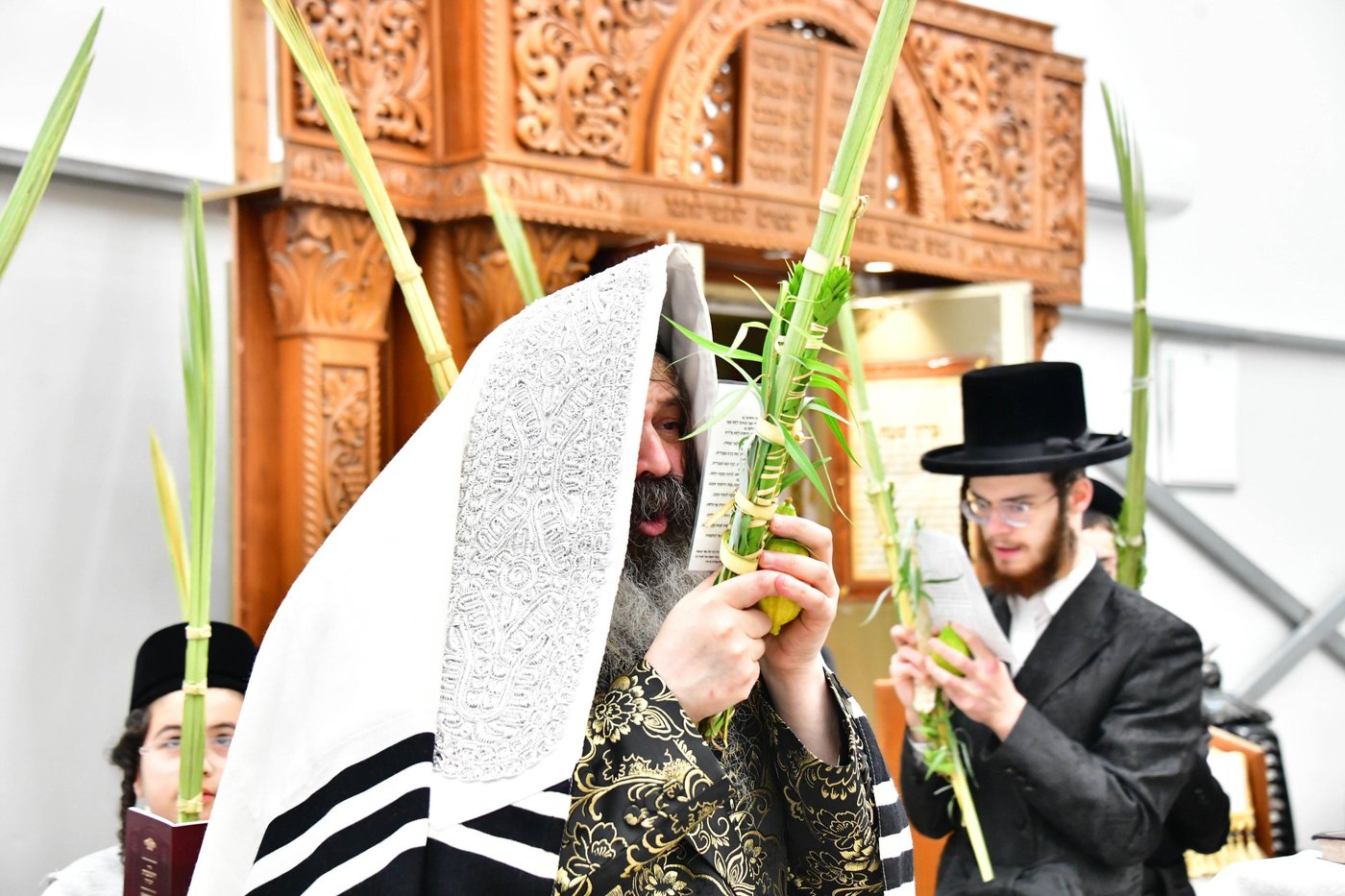 האדמו"ר מזוטשקא בהושענות