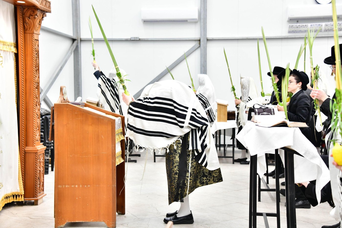 האדמו"ר מזוטשקא בהושענות