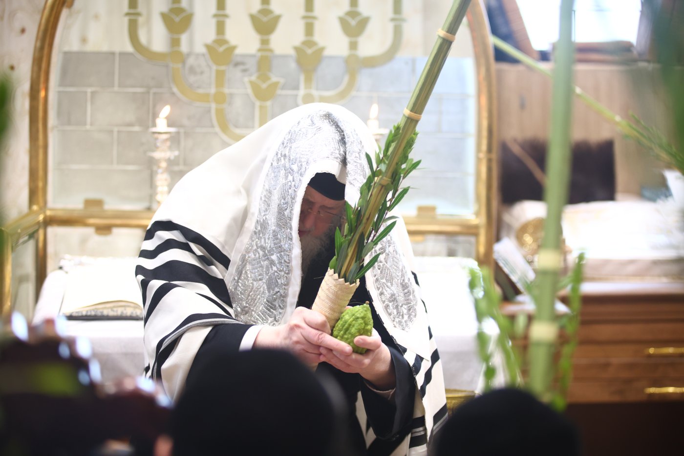 האדמו"ר ממונקאטש בנענועים | צילום: אחים לאנטשעווסקי - הלל ל"ש