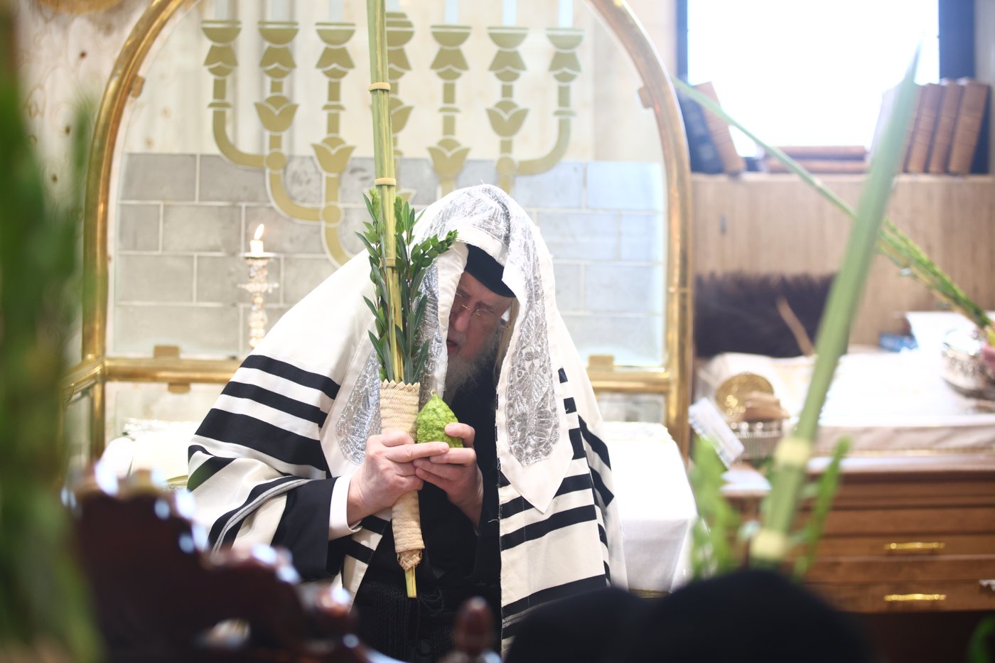 האדמו"ר ממונקאטש בנענועים | צילום: אחים לאנטשעווסקי - הלל ל"ש
