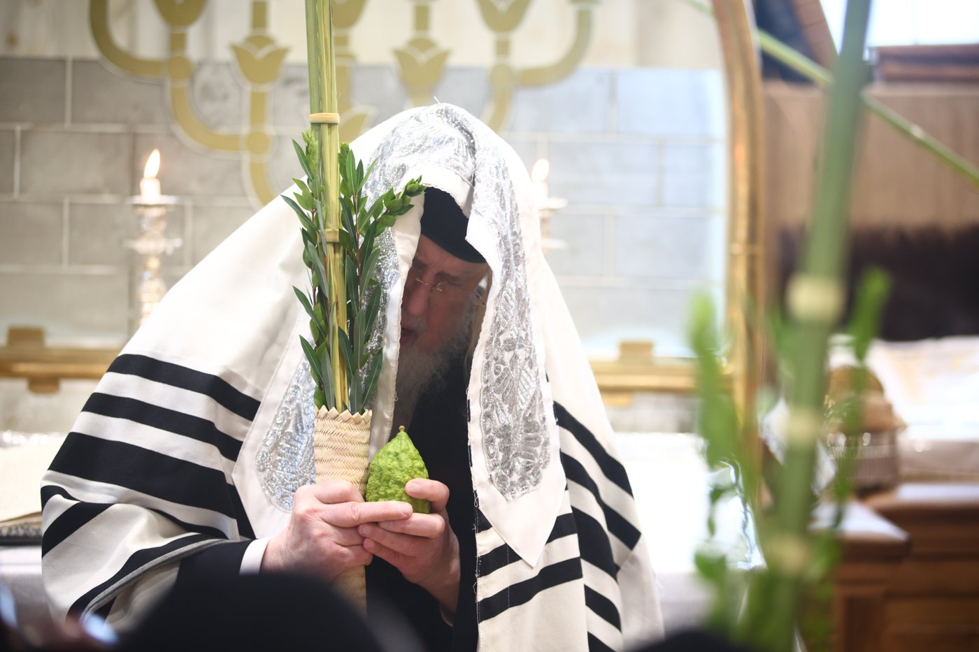 האדמו"ר ממונקאטש בנענועים | צילום: אחים לאנטשעווסקי - הלל ל"ש